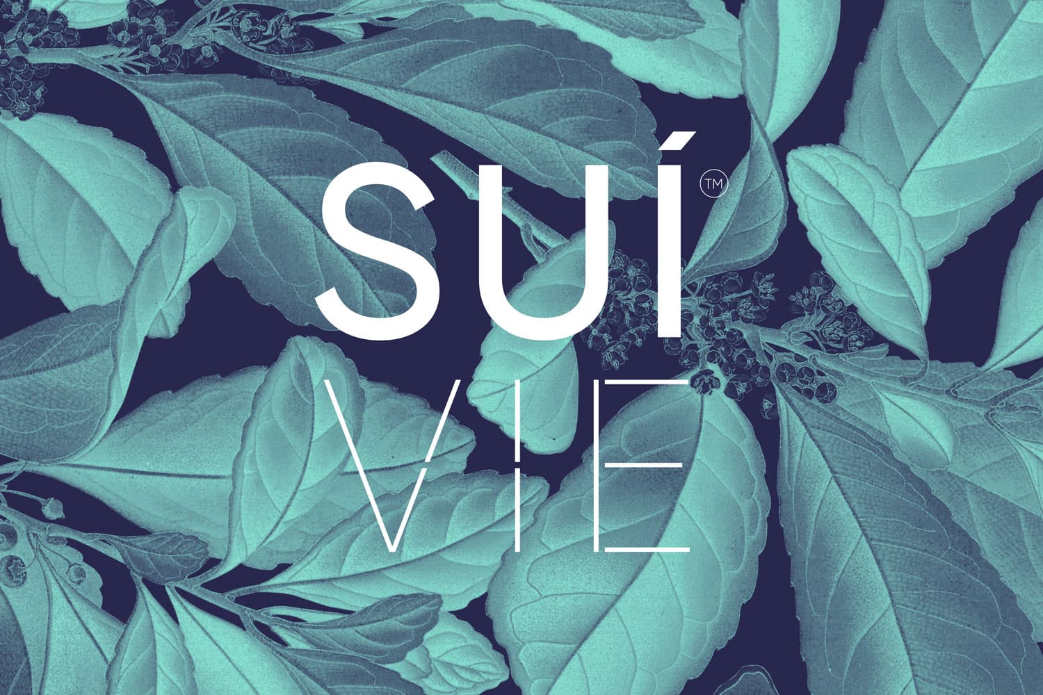 Suívie old